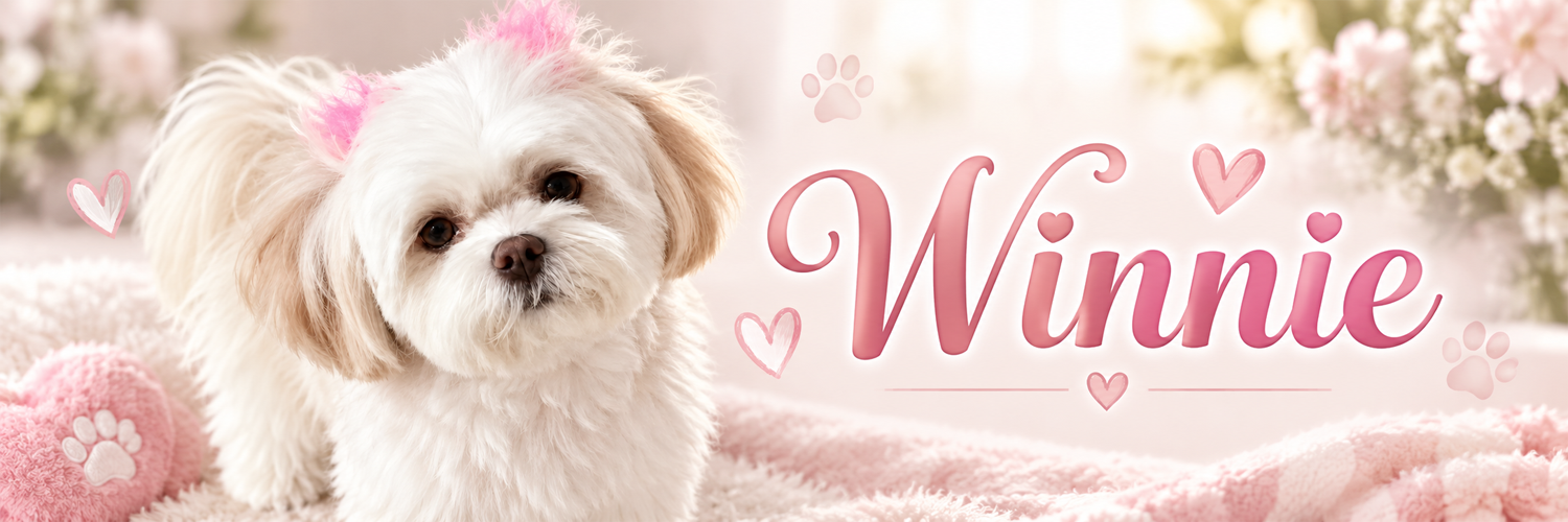 Winnie banner — pink bows, hearts, and paw prints